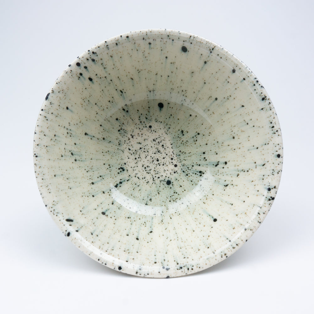 Splatterware Fancy Everyday Bowl